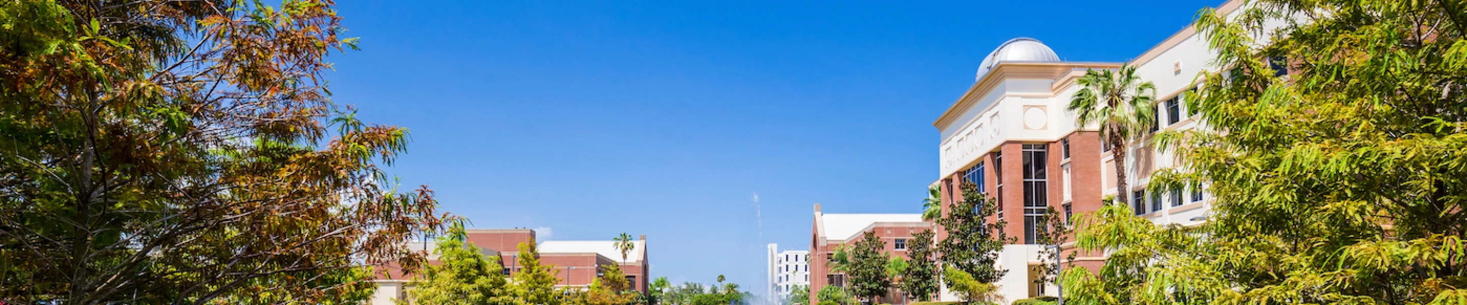 Applied Behavior Analysis and Organizational Behavior Management